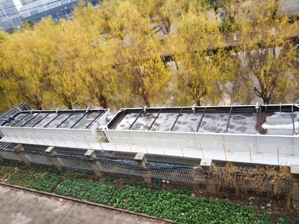 揭秘！泳池污水如何变清